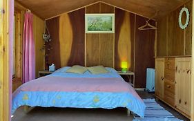 Cosy Cabin In Glastonbury